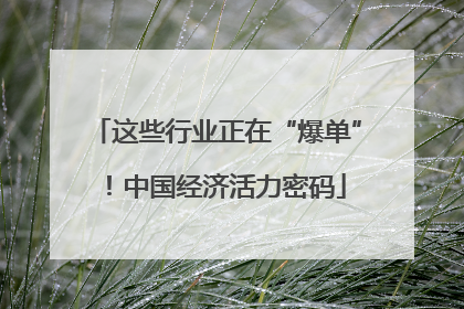 这些行业正在“爆单”！中国经济活力密码
