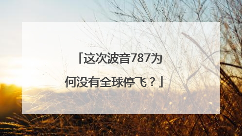 这次波音787为何没有全球停飞？