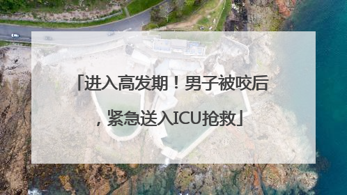 进入高发期！男子被咬后，紧急送入ICU抢救