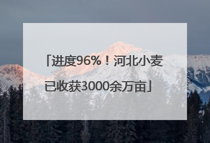 进度96%！河北小麦已收获3000余万亩