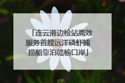 连云港边检站高效服务首艘远洋磷虾捕捞船靠泊赣榆口岸