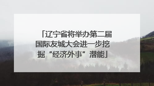 辽宁省将举办第二届国际友城大会进一步挖掘“经济外事”潜能