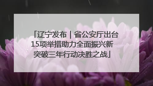 辽宁发布｜省公安厅出台15项举措助力全面振兴新突破三年行动决胜之战