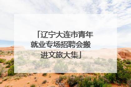 辽宁大连市青年就业专场招聘会搬进文旅大集