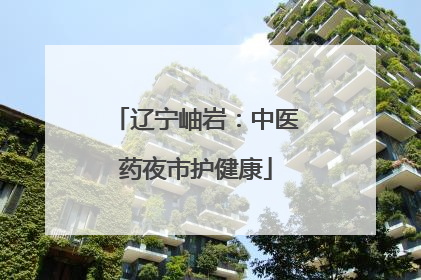 辽宁岫岩：中医药夜市护健康