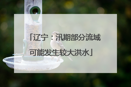 辽宁：汛期部分流域可能发生较大洪水