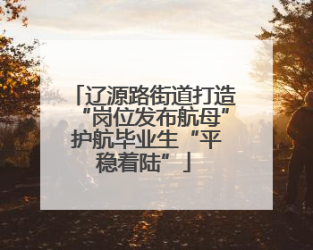 辽源路街道打造“岗位发布航母” 护航毕业生“平稳着陆”