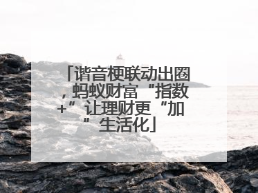谐音梗联动出圈，蚂蚁财富“指数+”让理财更“加”生活化