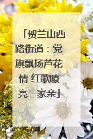 贺兰山西路街道：党旗飘扬芦花情 红歌嘹亮一家亲