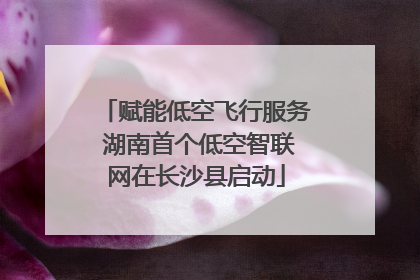 赋能低空飞行服务 湖南首个低空智联网在长沙县启动