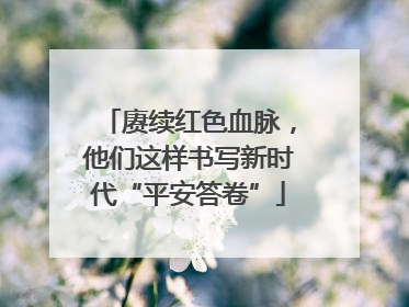 赓续红色血脉，他们这样书写新时代“平安答卷”