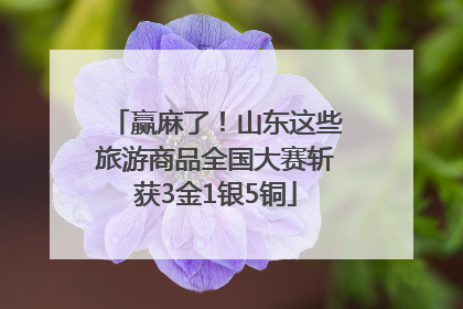 赢麻了！山东这些旅游商品全国大赛斩获3金1银5铜