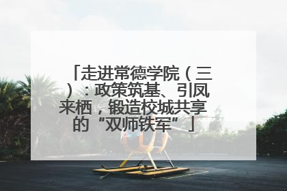 走进常德学院（三）：政策筑基、引凤来栖，锻造校城共享的“双师铁军”