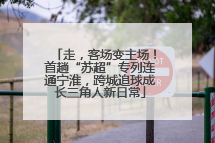 走，客场变主场！首趟“苏超”专列连通宁淮，跨城追球成长三角人新日常