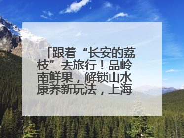 跟着“长安的荔枝”去旅行！品岭南鲜果，解锁山水康养新玩法，上海3小时直飞，自驾高速费优惠