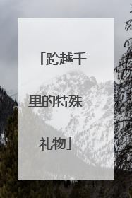 跨越千里的特殊礼物