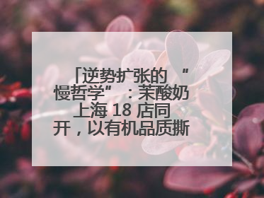 逆势扩张的 “慢哲学”：茉酸奶上海 18 店同开，以有机品质撕开内卷红海