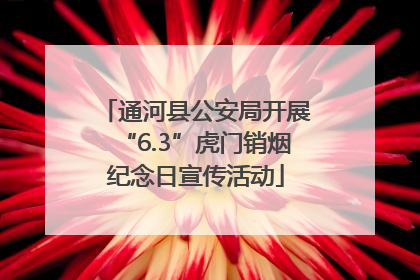 通河县公安局开展“6.3”虎门销烟纪念日宣传活动