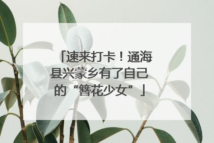速来打卡！通海县兴蒙乡有了自己的“簪花少女”