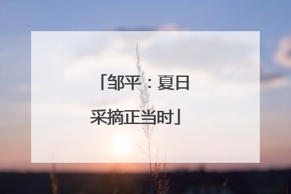 邹平：夏日采摘正当时