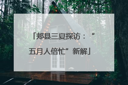 郏县三夏探访：“五月人倍忙”新解