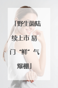 野生菌陆续上市 易门“鲜”气爆棚
