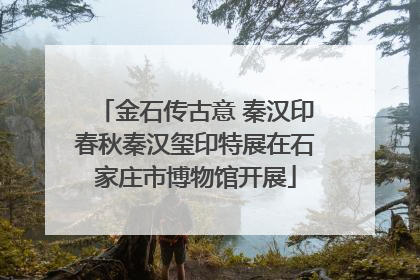 金石传古意 秦汉印春秋秦汉玺印特展在石家庄市博物馆开展