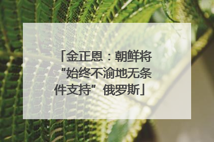金正恩：朝鲜将“始终不渝地无条件支持”俄罗斯