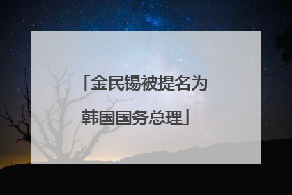 金民锡被提名为韩国国务总理