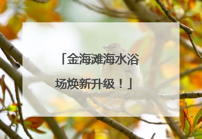 金海滩海水浴场焕新升级！