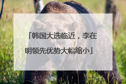 韩国大选临近，李在明领先优势大幅缩小