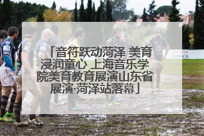 音符跃动菏泽 美育浸润童心 上海音乐学院美育教育展演山东省展演·菏泽站落幕