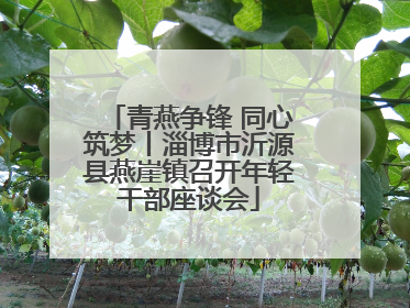 青燕争锋 同心筑梦丨淄博市沂源县燕崖镇召开年轻干部座谈会