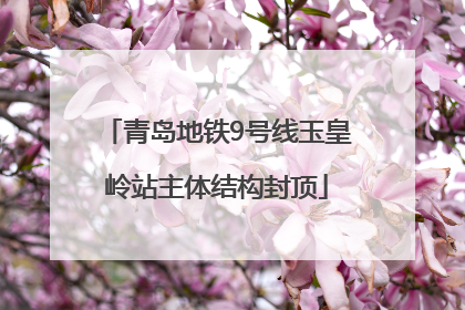 青岛地铁9号线玉皇岭站主体结构封顶