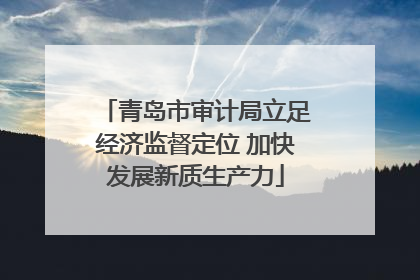 青岛市审计局立足经济监督定位 加快发展新质生产力