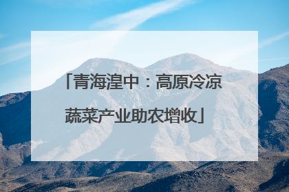 青海湟中：高原冷凉蔬菜产业助农增收