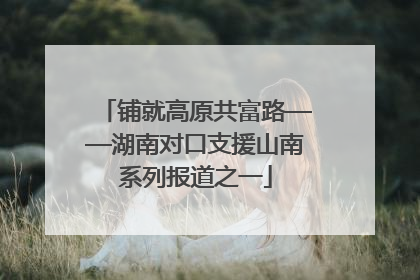铺就高原共富路——湖南对口支援山南系列报道之一