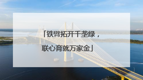 铁臂拓开千垄绿，联心育就万家金