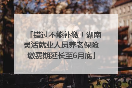 错过不能补缴！湖南灵活就业人员养老保险缴费期延长至6月底
