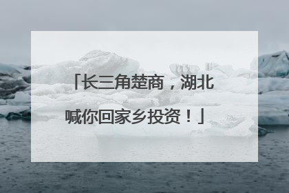 长三角楚商，湖北喊你回家乡投资！