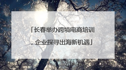长春举办跨境电商培训，企业探寻出海新机遇