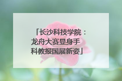 长沙科技学院：龙舟大赛显身手 科教报国展新姿