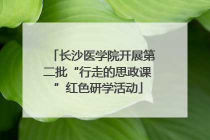 长沙医学院开展第二批“行走的思政课”红色研学活动