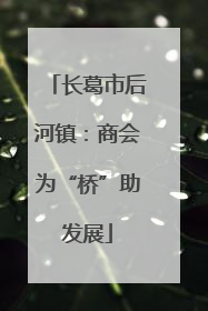 长葛市后河镇：商会为“桥”助发展