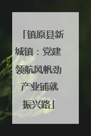 镇原县新城镇：党建领航风帆劲 产业铺就振兴路