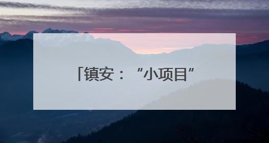 镇安：“小项目”撬动“大民生”