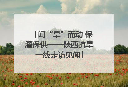 闻“旱”而动 保灌保供——陕西抗旱一线走访见闻