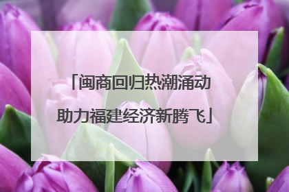 闽商回归热潮涌动 助力福建经济新腾飞