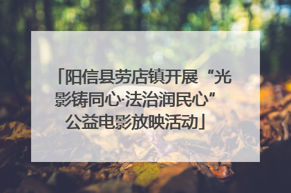 阳信县劳店镇开展“光影铸同心·法治润民心”公益电影放映活动
