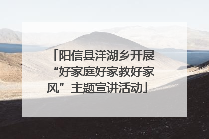 阳信县洋湖乡开展“好家庭好家教好家风”主题宣讲活动